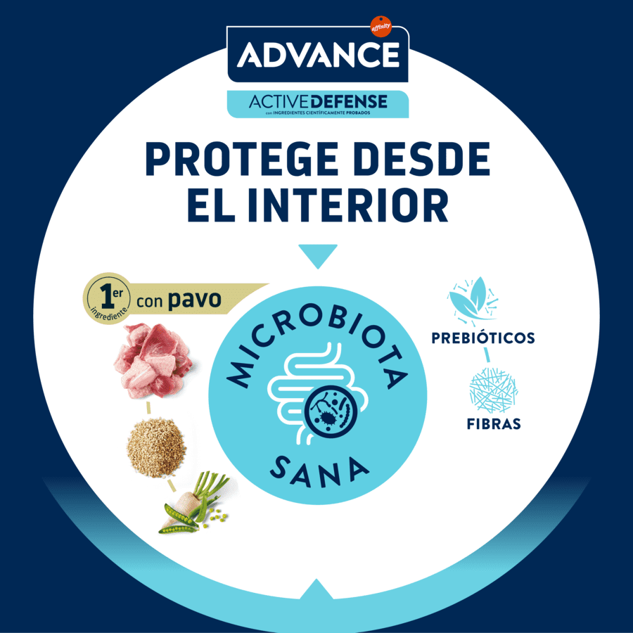 10 kg Affinity Advance Sensitive Feline Adult Salm&atilde;o e Arroz, , large Imagem n&uacute;mero 5